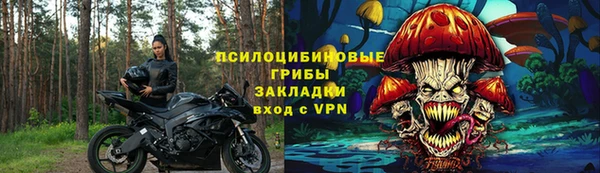 хмурый Алзамай