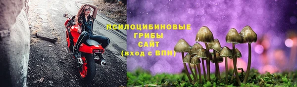 хмурый Алзамай
