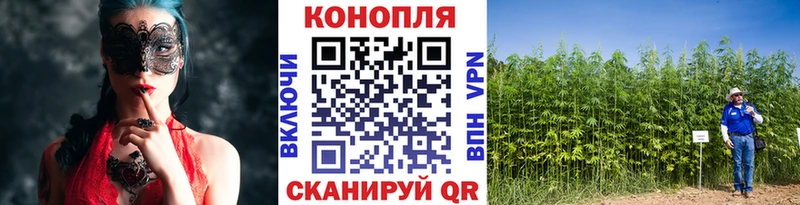 Бошки Шишки тримм  купить  сайты  гидра как зайти  Алагир 